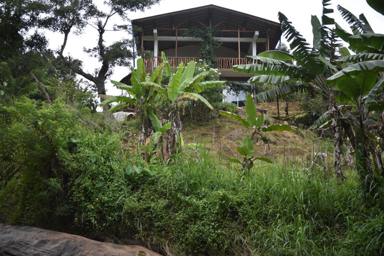 Ella Rock Grun Cottage Bagian luar foto