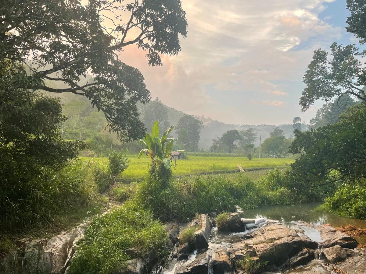 Ella Rock Grun Cottage Bagian luar foto